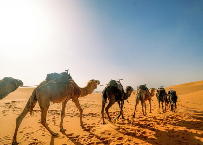 Marrakech Desert Tours